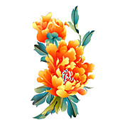 5 Stück Pfingstrose wasserdicht temporäres Tattoo (17,5 cm * 10cm)