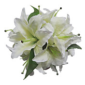 lirio blanco satinado ramo de novia