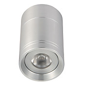 3W LED spot light