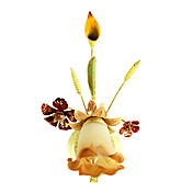 landelijke stijl wandlamp met 1 licht