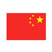 10 Stück China temporaty Tattoo-Aufkleber