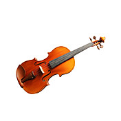 violintine - (v. 17) 4/4 di livello professionale legno massello di abete e 1-pezzo per violino in acero fiammato con scatola / fiocco