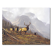 Leinwanddruck Tier 24 "x 24"