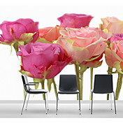Colorful Roses Floral Nature Mural