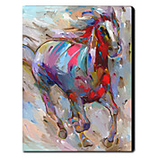 Hand Painted Oliemaleri Animal Horse 1211-AN0032