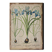 gestreckten Leinen druckt vintage floral 1212-0139