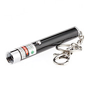 2-in-1 1mW 532nm pointeur laser vert Keychain avec effets spéciaux (1xAAA)