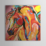 Mão Cavalo Pintado Pintura a óleo abstrata 1303-AB0425