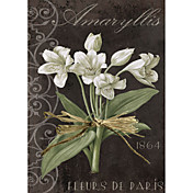 האמנות המודפסת הבוטנית fleurs דה פריס לפי צבע מאפייה