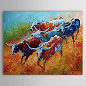 Hand Painted Oliemaleri Animal Bull 1304-AN0069