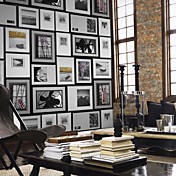 Black & White Picture Frame Landscape Mural