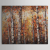 Dipinti a mano olio pittura botanica forestale 1305-FL0127