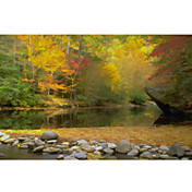 Printed Art Landscape Little River by J.D. McFarlan