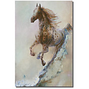 Gedruckt Leinwand Kunst Tiere Appaloosa von Denton Lund mit gestreckten Rahmen Run