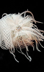 Fashion Net With Feather Women's Fascinators