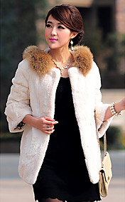 3/4 Sleeve Raccoon Fur Turndown Collar Rex Rabbit Fur Casual/Party Coat (More Colors)