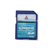  1GB Kingston SD Memory Card