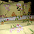  voorjaar quilt