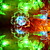  3M 2.5W 20-LED Colorful Light Flower Shaped String Fairy Lamp (110/220V)
