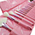  Spazzola set professionale scuro con tasca bella (22 pz)