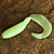  Soft Bait Worm 80mm Slow Sinking Plastic Fishing Lure 8pcs