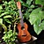  Rainie - (C40) High-Grand Solid Acacia Koa Concert Ukulele with Gig Bag/Tuner