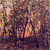  Brown Trees Natur Mural