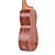  ELLA - (UK-11SE)  Sapelle Concert Acoustic-Electric Ukulele with Bag