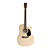  Johnson - (6200C) 41" Spruce Cutaway Dreadnought Acoustic Guitar with Bag/Strap/Picks/Wrench