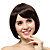  Capless Short Brown Straight 100% Human Hair Wigs