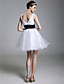  Ball Gown V-neck Short/Mini Tulle Over Satin Cocktail Dress
