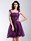  DENTON - Vestido de Cóctel de Organza