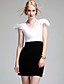  TS Lace Shoulder Bodycon Dress