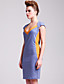  TS Colorblock Bodycon Dress