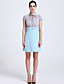  TS Contrast Colors Blouse Dress
