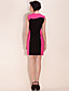 TS Color Block Slimming Sheath Dress