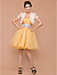  manica corta chiffon / cotone ufficio & carriera giacche / avvolge