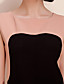  TS Color Block Belted Pencil Dress