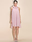  TS Ruffle High Neck Pleated Dress