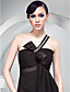  Sheath/ Column One Shoulder Floor-length Chiffon Over Stretch Satin Evening Dress