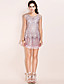  TS Beaded Net Tulle Dress