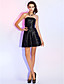  HOLLYWOOD - Robe élastique