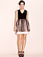  TS Velvet Lace Dress With Mesh Shell