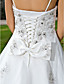  A-line Chapel Train Tulle Wedding Dress With Removable Straps