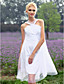  A-line Scoop Knee-length Tulle Wedding Dress