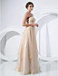  A-line Strapless Floor-length Tulle Evening Dress