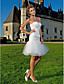  Sheath/Column Sweetheart Knee-length  Lace And Tulle Wedding Dress