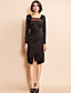  TS Long Sleeve Mesh Front Dress