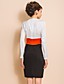  TS Simplicity Contrast Color Long Sleeve Slim Sheath Dress