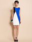  TS Trendy Contrast Color Leather Stitching Slim Dress